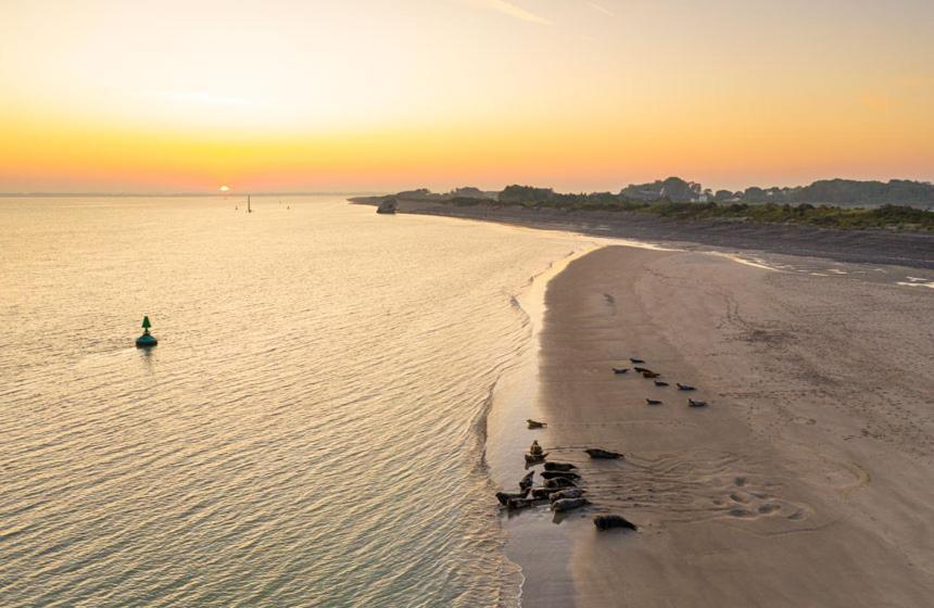 L'instant Cayeux-sur-Mer